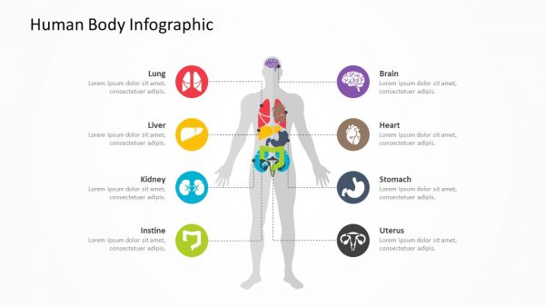 Human Body Infographic 1